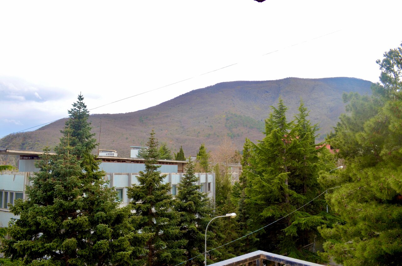 Гостиница Дельфин Партенит-11