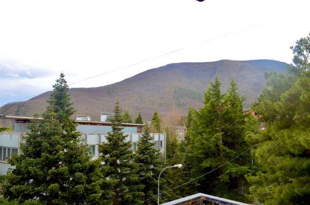 Гостиница Дельфин Партенит-10